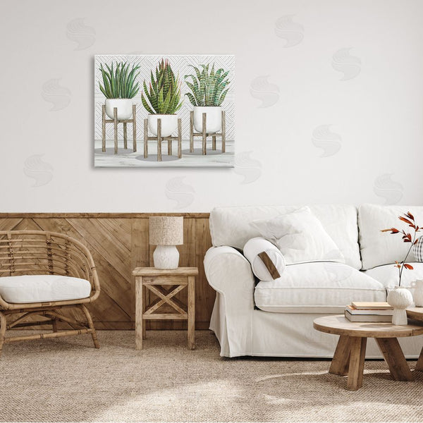 Stupell Industries Cindy Jacobs | Modern Aloe Plant Trio Living Room Still Life Wall Art