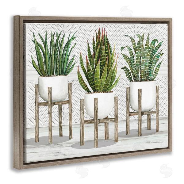 Stupell Industries Cindy Jacobs | Modern Aloe Plant Trio Living Room Still Life Wall Art
