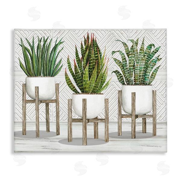 stupell industries Cindy Jacobs | Modern Aloe Plant Trio Living Room Still Life Wall Art