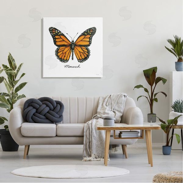 Stupell Industries Cindy Jacobs | Monarch Butterfly Casual Insect Wildlife Design Wall Art