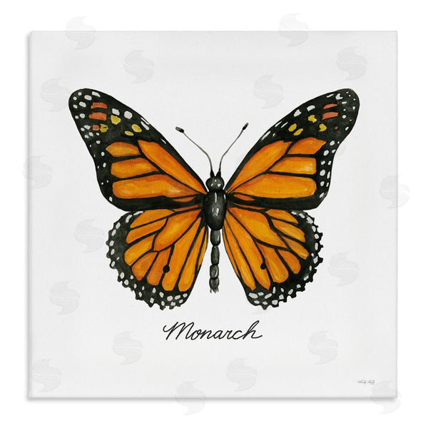 stupell industries Cindy Jacobs | Monarch Butterfly Casual Insect Wildlife Design Wall Art