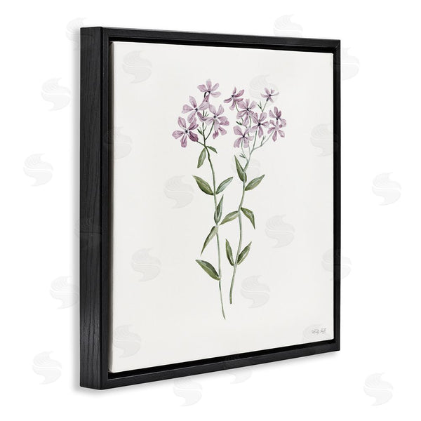 Stupell Industries Cindy Jacobs | Purple Phlox Botanical Wall Art