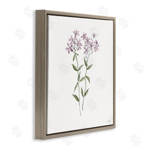 Stupell Industries Cindy Jacobs | Purple Phlox Botanical Wall Art