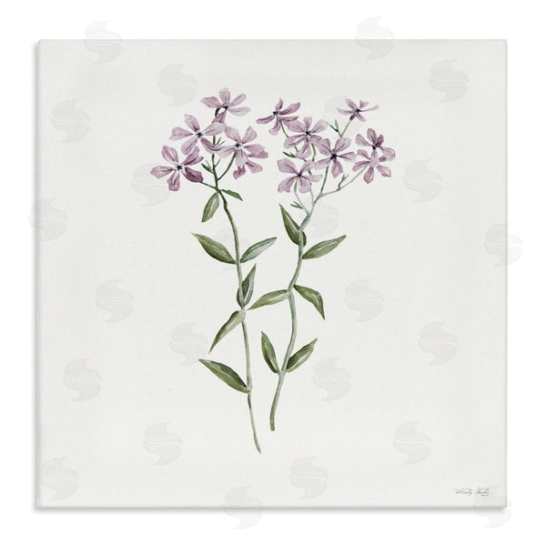 stupell industries Cindy Jacobs | Purple Phlox Botanical Wall Art