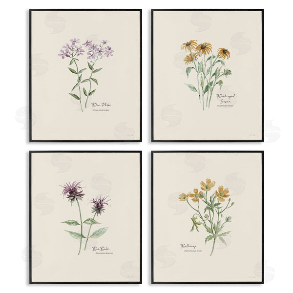Stupell Industries Cindy Jacobs | Simple Wildflower Studies Wall Art
