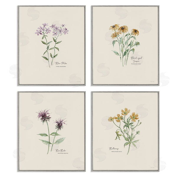 Stupell Industries Cindy Jacobs | Simple Wildflower Studies Wall Art