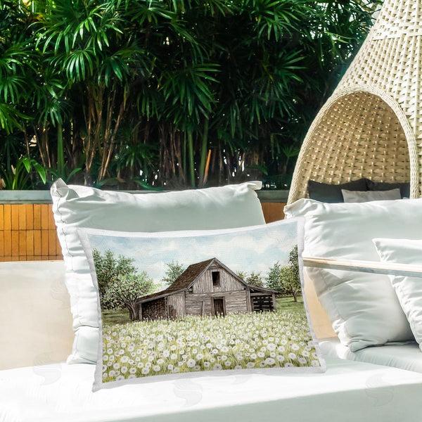 Stupell Industries Cindy Jacobs | White Poppy Farm Meadow