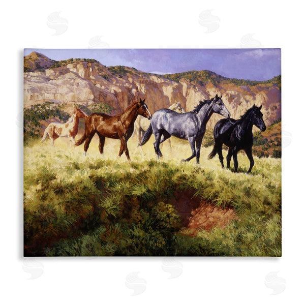 stupell industries Claire Goldrick | Mixed Horses & Desert Mountains