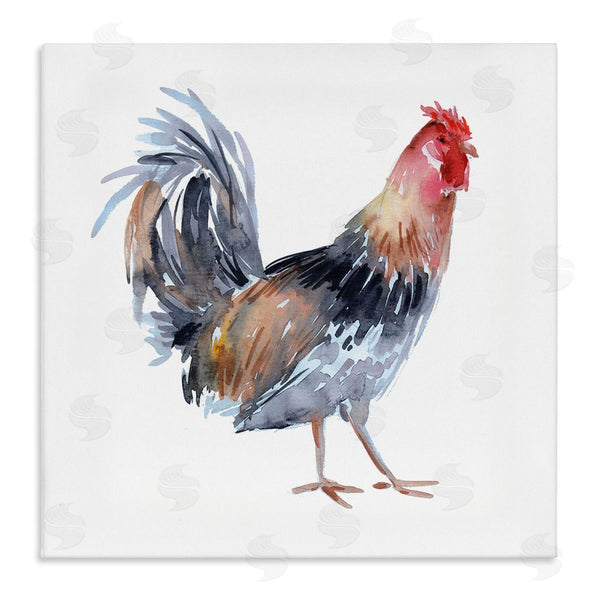 stupell industries Claudia Bianchi | Rooster Farm Animal Portrait Wall Art