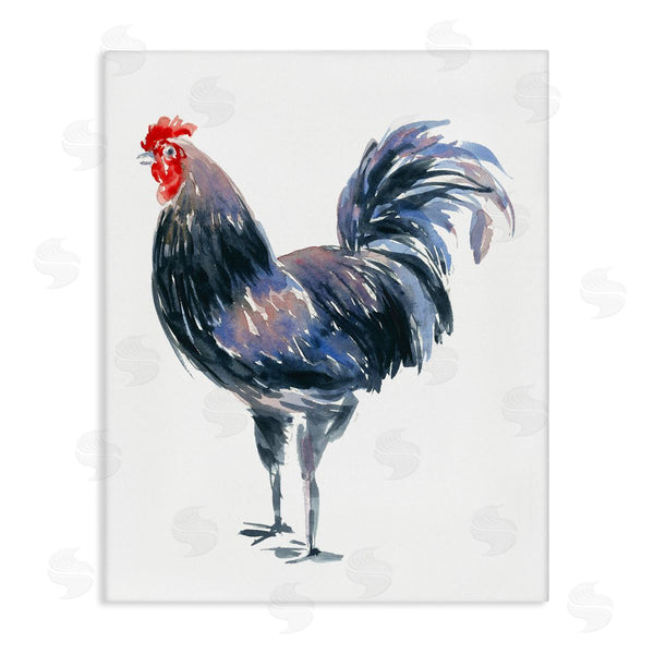 stupell industries Claudia Bianchi | Rooster Portrait on White Wall Art
