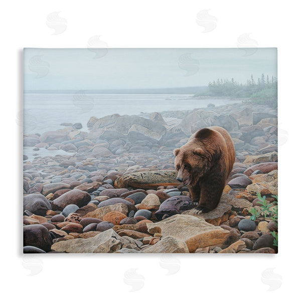 stupell industries Clinton Jammer | Bear on Rocky Shore Wall Art