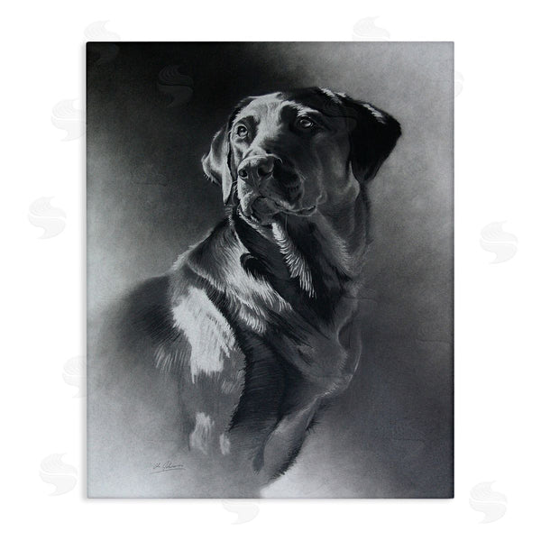stupell industries Cole Johnson | Charcoal Pencil Labrador Dog Portrait Vintage Pet Wall Art