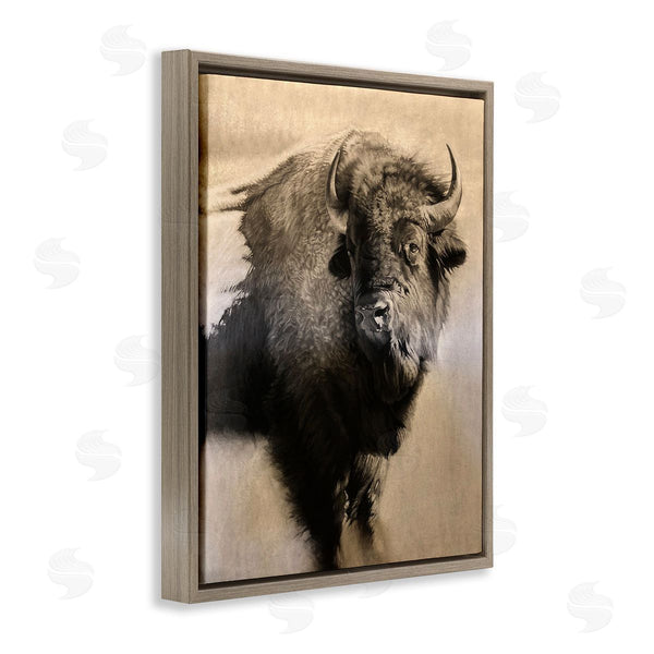 Stupell Industries Cole Johnson | Young Bull Vintage Portrait Realistic Rustic Drawing Wall Art