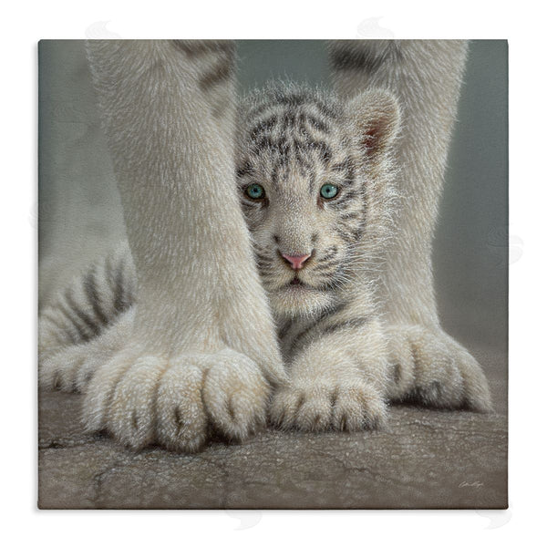 stupell industries Collin Bogle | Adorable Fuzzy Tiger Baby White Bengal With Mother Close Up Wall Art
