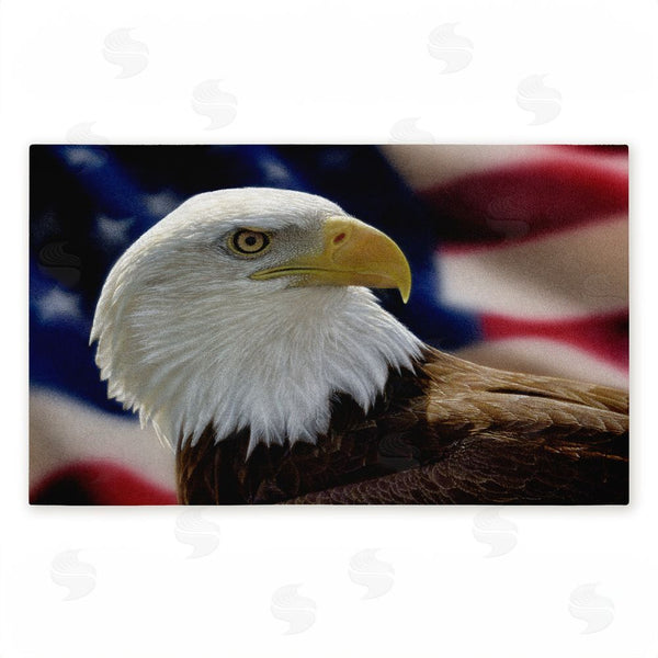stupell industries Collin Bogle | American Bald Eagle Non-Woven Door Mat