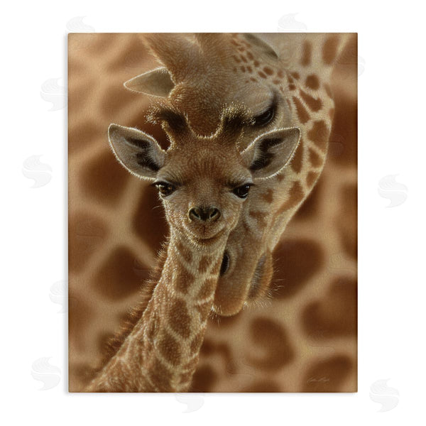 stupell industries Collin Bogle | Baby Giraffe with Mother Patterned Safari Animal Hug Wall Art