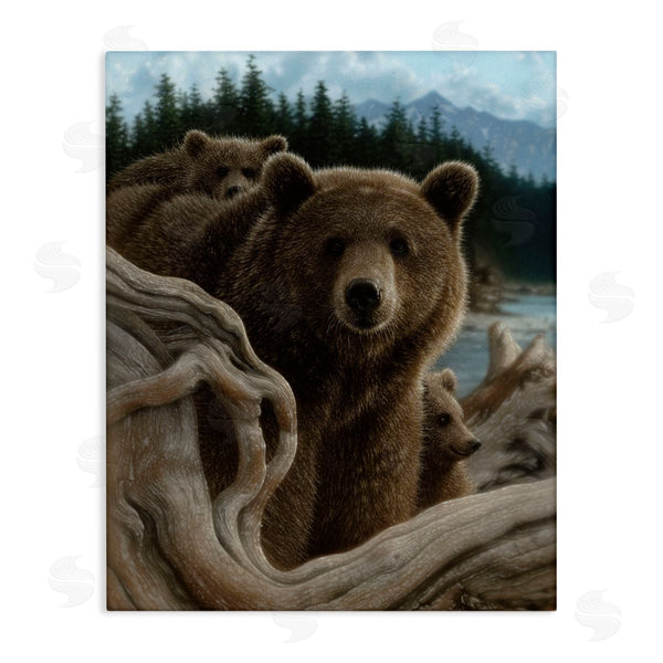 stupell industries Collin Bogle | Backpacking Mother Bear