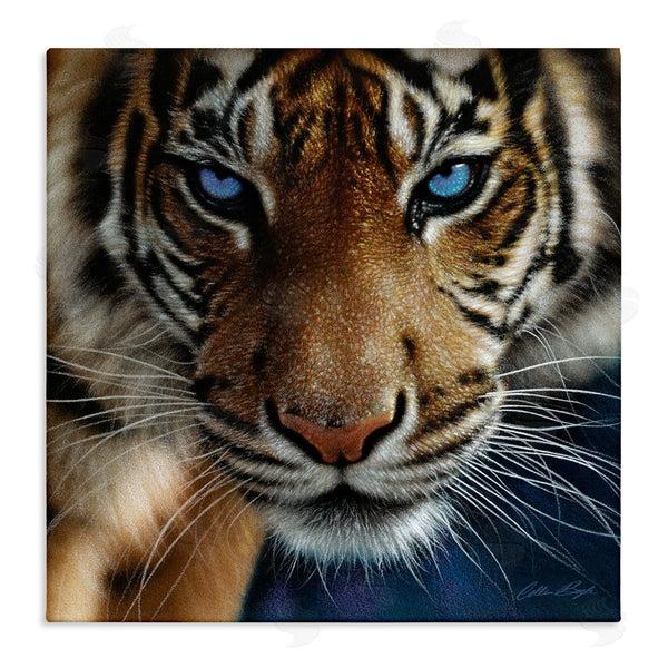 stupell industries Collin Bogle | Blue Eyed Beautiful Fierce Tiger Close Up Detailed Portrait Wall Art