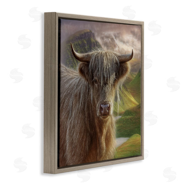 Stupell Industries Collin Bogle | Butterscotch Highland Cow