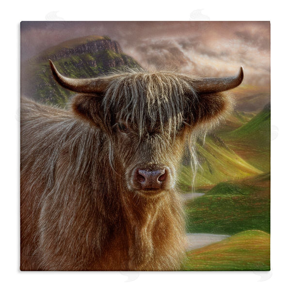 stupell industries Collin Bogle | Butterscotch Highland Cow