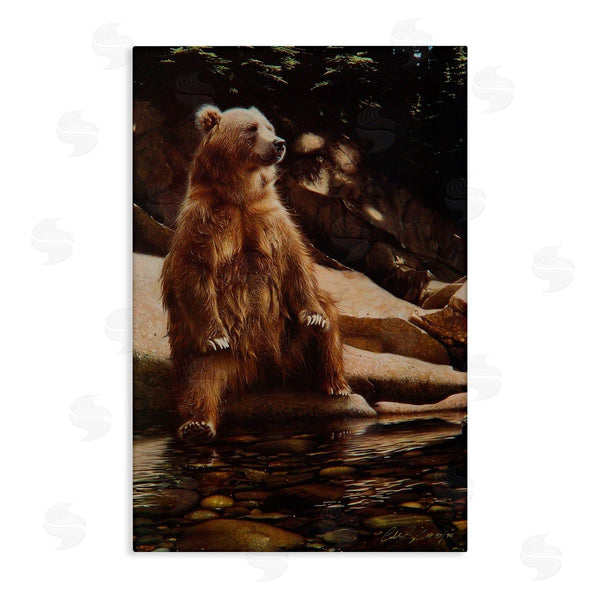 stupell industries Collin Bogle | Cool Foot Brown Bear