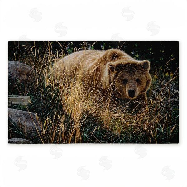 stupell industries Collin Bogle | Crossing Paths Brown Bear Non-Woven Door Mat