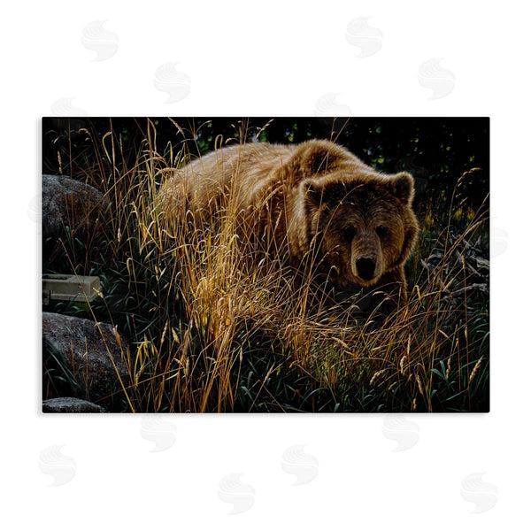 stupell industries Collin Bogle | Crossing Paths Grizzly Bear