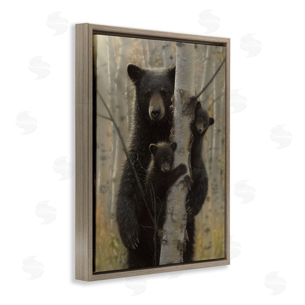 Stupell Industries Collin Bogle | Mama Bear Behind Tree