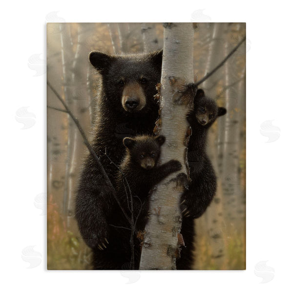 stupell industries Collin Bogle | Mama Bear Behind Tree
