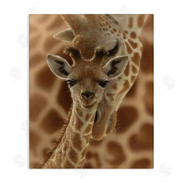 stupell industries Collin Bogle | Newborn Giraffe Calf