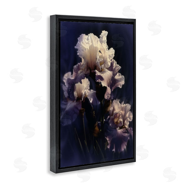 Stupell Industries Collin Bogle | Purple Iris Close Up