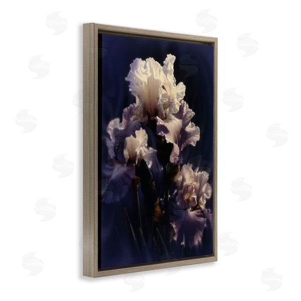 Stupell Industries Collin Bogle | Purple Iris Close Up