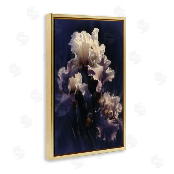 Stupell Industries Collin Bogle | Purple Iris Close Up