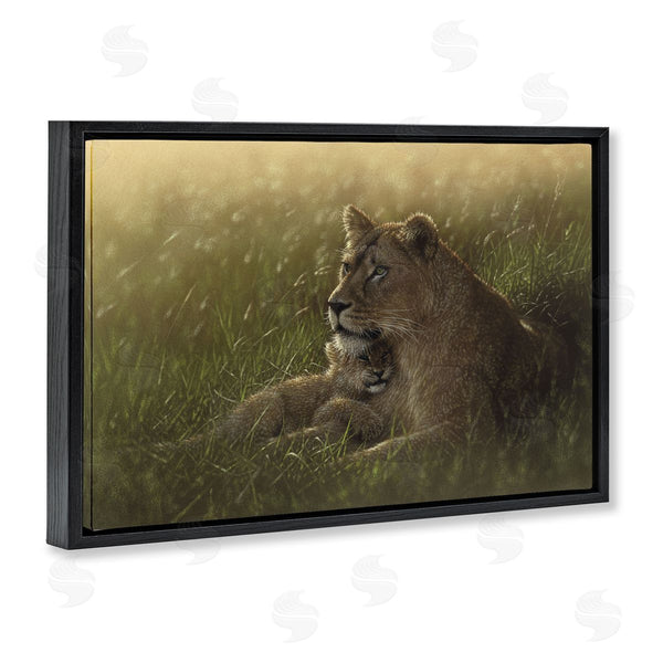 Stupell Industries Collin Bogle | Safe Haven Lion Cub