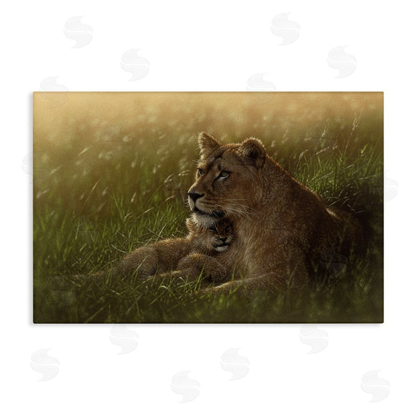 stupell industries Collin Bogle | Safe Haven Lion Cub