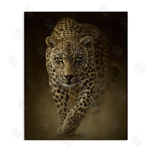 stupell industries Collin Bogle | Savage Leopard Predator