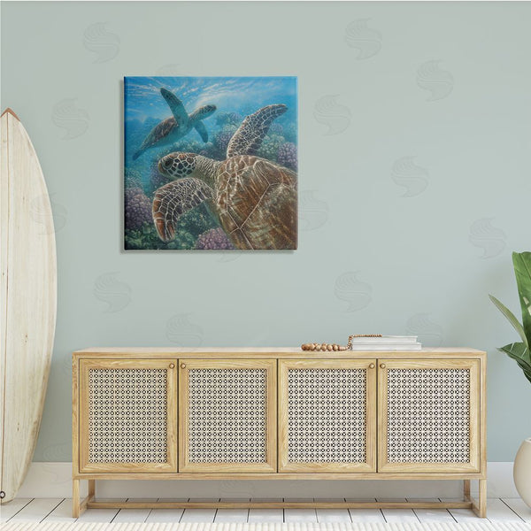 Stupell Industries Collin Bogle | Sea Turtle Pair Coral Reef Ocean Life Scene Wall Art