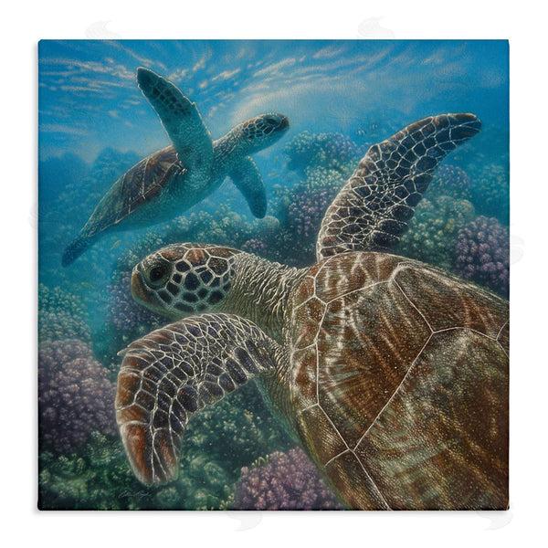 stupell industries Collin Bogle | Sea Turtle Pair Coral Reef Ocean Life Scene Wall Art