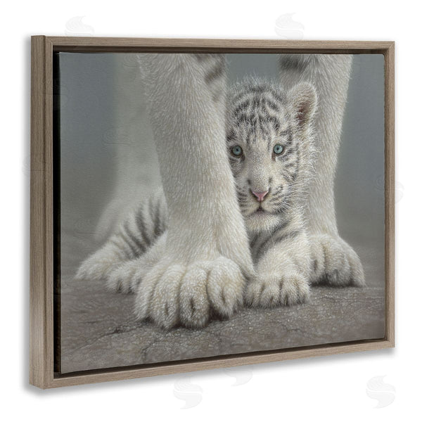 Stupell Industries Collin Bogle | Sheltered White Tiger Cub