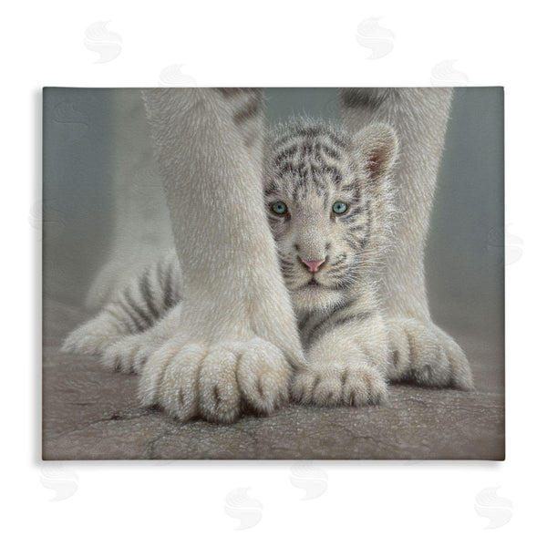 stupell industries Collin Bogle | Sheltered White Tiger Cub