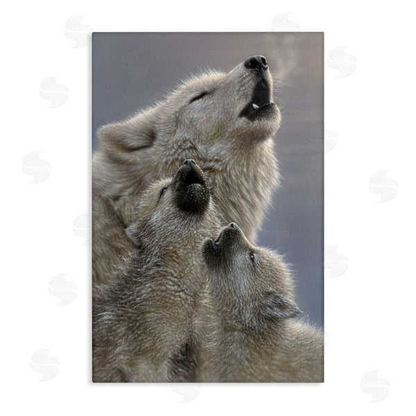 stupell industries Collin Bogle | Singing Lessons White Wolves