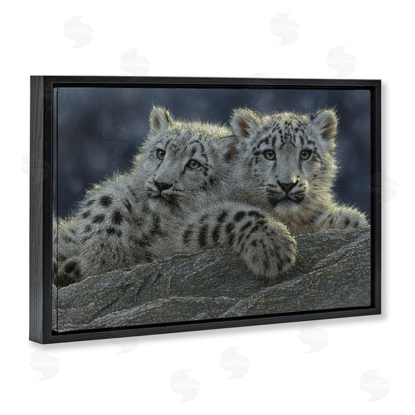 Stupell Industries Collin Bogle | Snow Leopard Cuddle