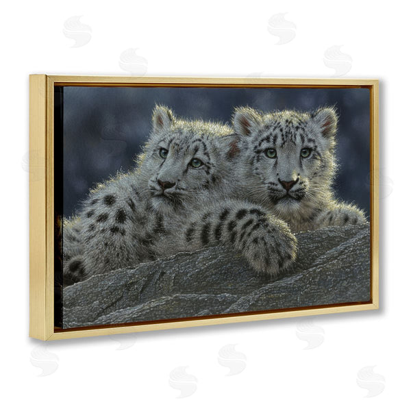 Stupell Industries Collin Bogle | Snow Leopard Cuddle