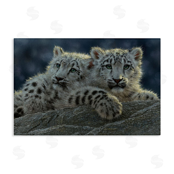 stupell industries Collin Bogle | Snow Leopard Cuddle