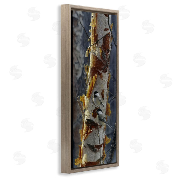 Stupell Industries Collin Bogle | Sunlit Birch Chickadees