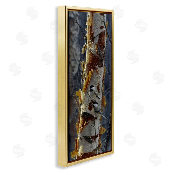 Stupell Industries Collin Bogle | Sunlit Birch Chickadees