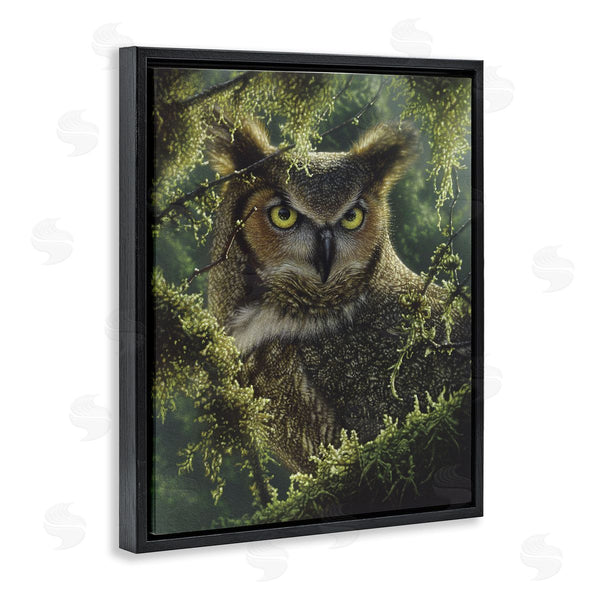 Stupell Industries Collin Bogle | Watching And Waiting Owl