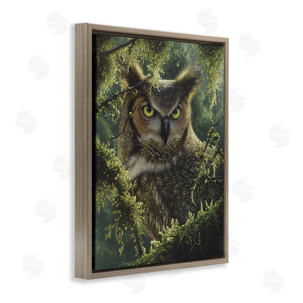 Stupell Industries Collin Bogle | Watching And Waiting Owl