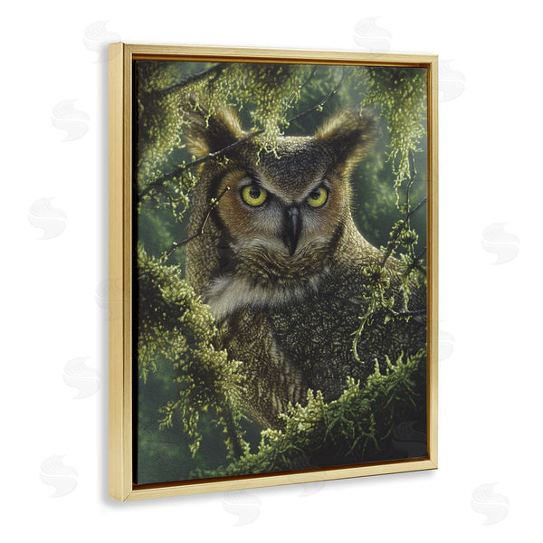 Stupell Industries Collin Bogle | Watching And Waiting Owl