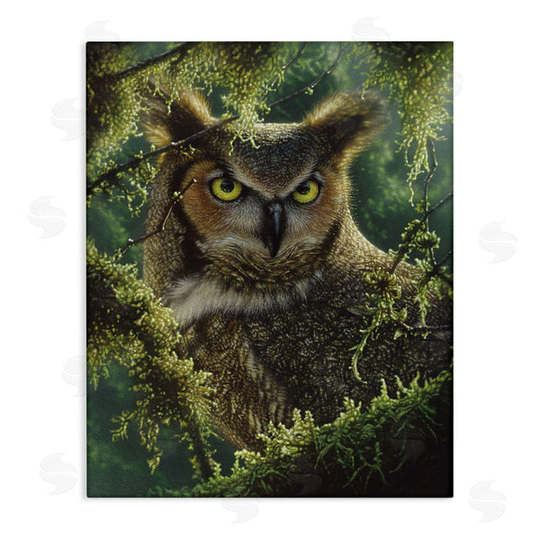 stupell industries Collin Bogle | Watching And Waiting Owl
